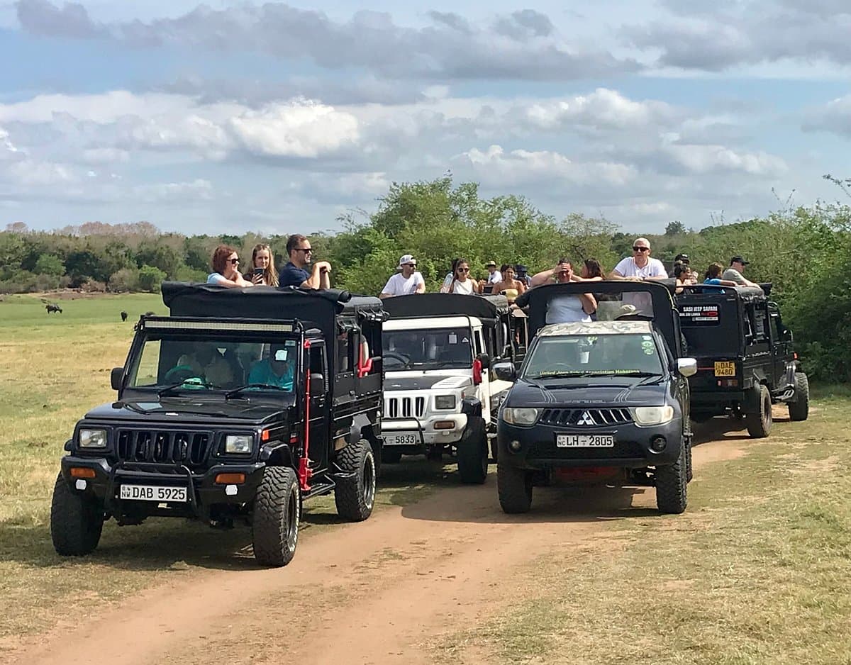 Safari drivers at sunset in Kaudulla National Park