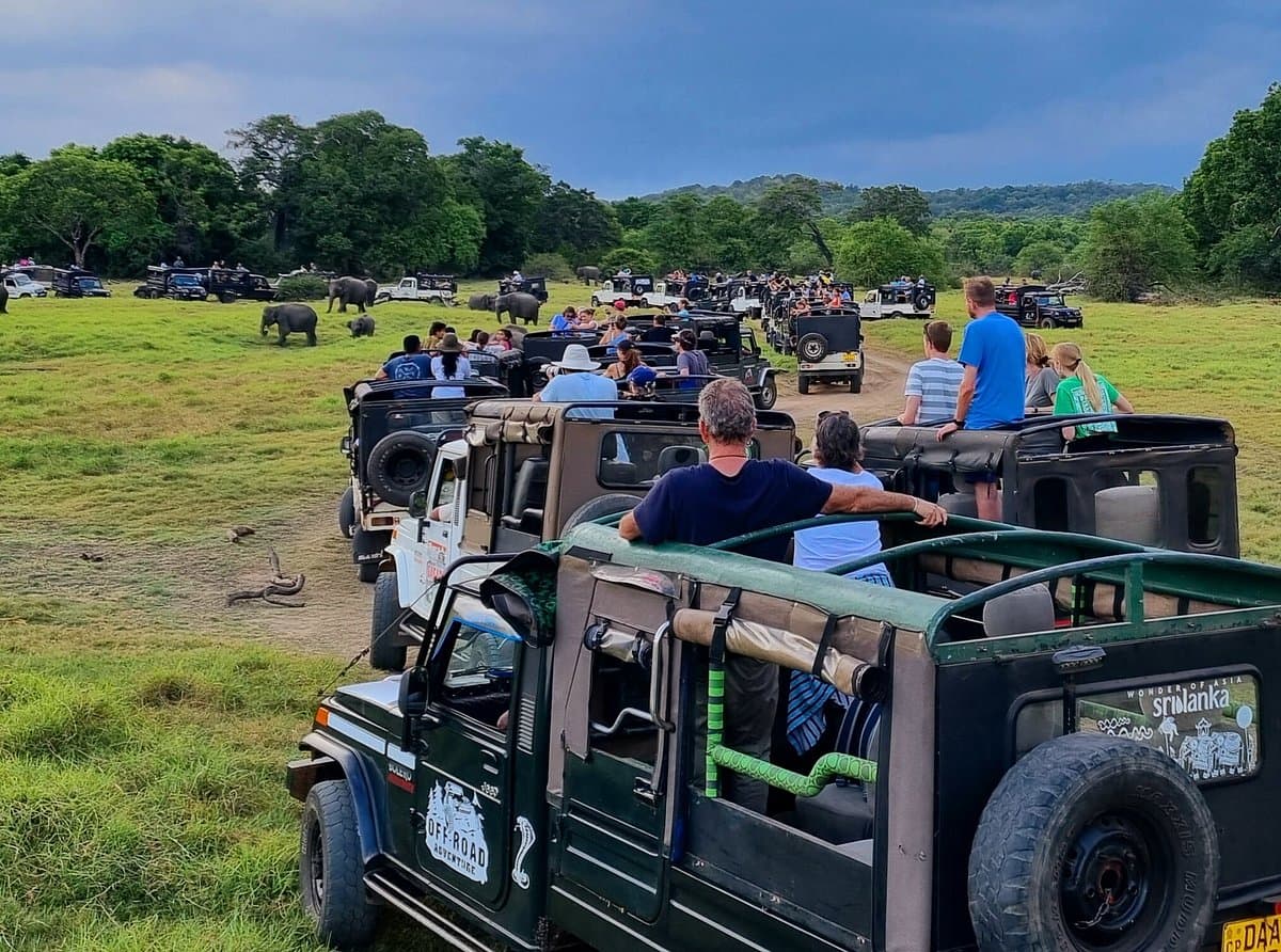 Crowded jeep safari at Kaudulla National Park