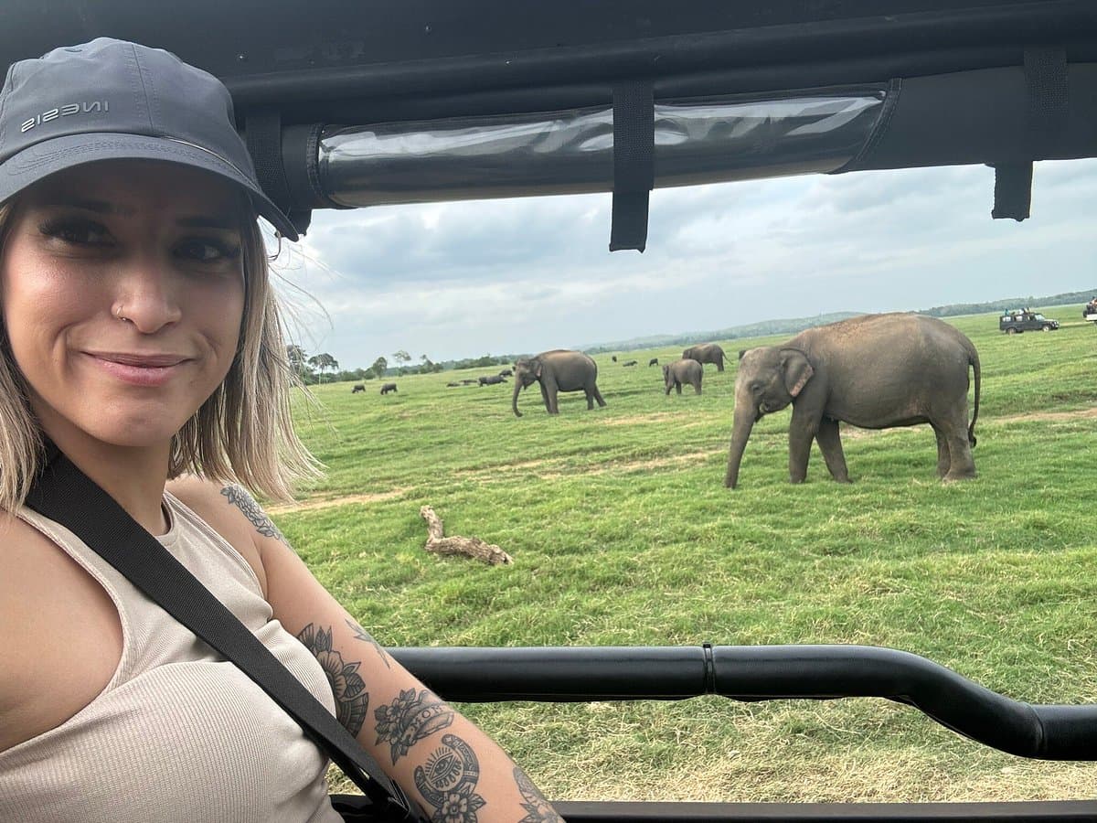 Elephants gathering at Kaudulla National Park